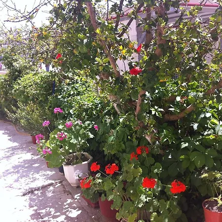 Διαμέρισμα Neapolis Παλαιοχώρα